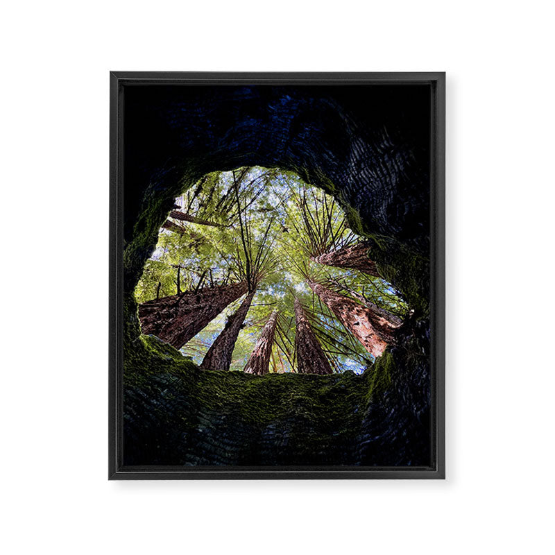 Telescope of Time (benefitting The Nature Conservancy)  Framed Canvas Print Gallery Image 6