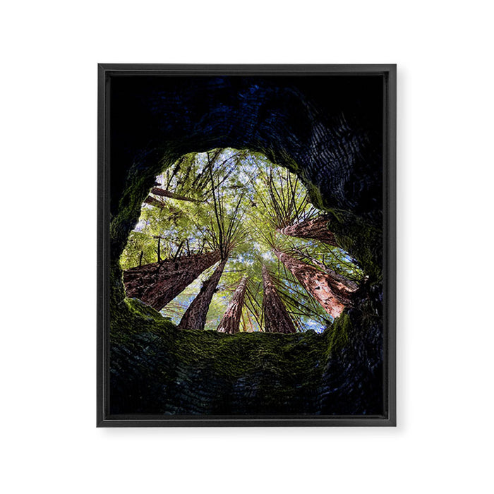 Telescope of Time (benefitting The Nature Conservancy)  Framed Canvas Print Gallery Image 1