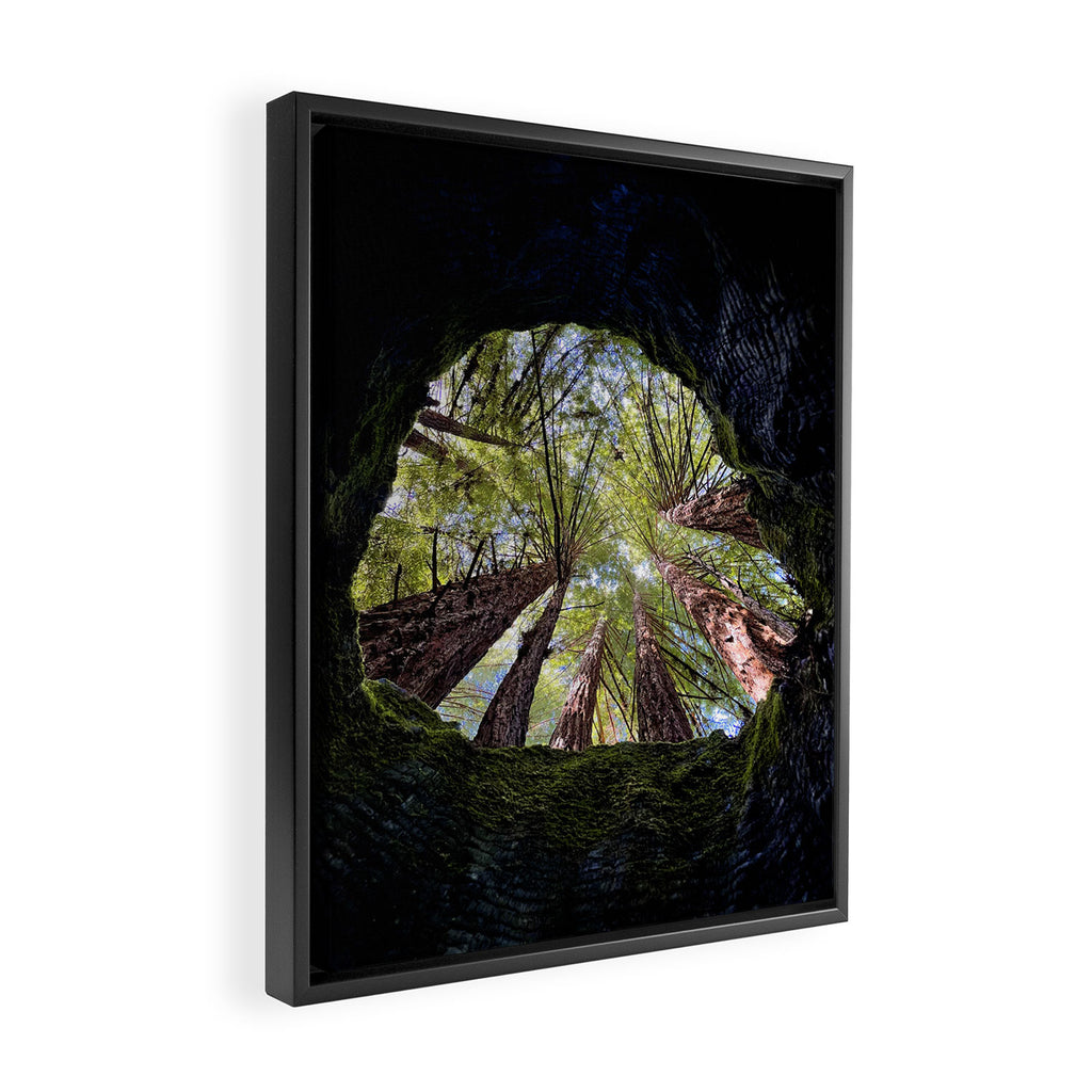 Telescope of Time (benefitting The Nature Conservancy)  Framed Canvas Print Gallery Image 2