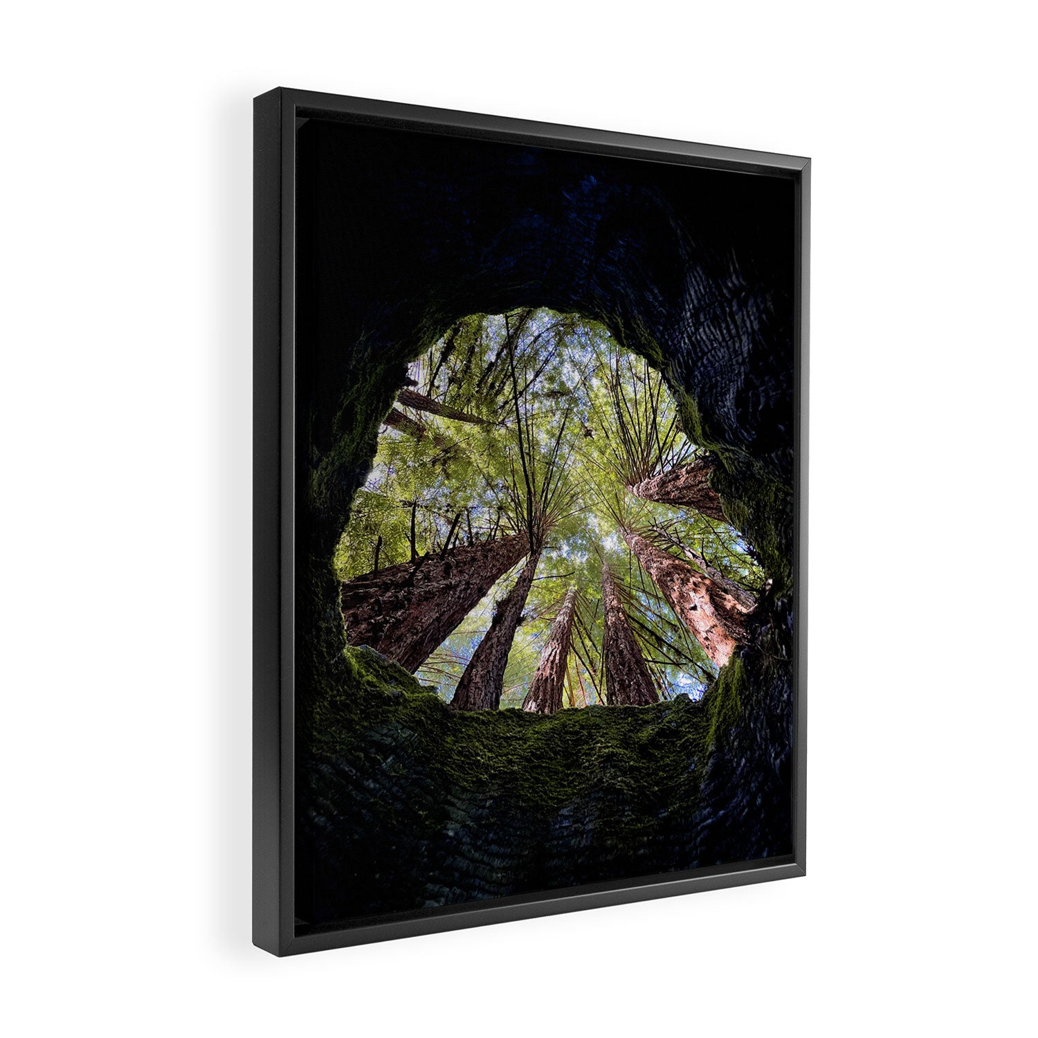 Telescope of Time (benefitting The Nature Conservancy)  Framed Canvas Print Gallery Image 2
