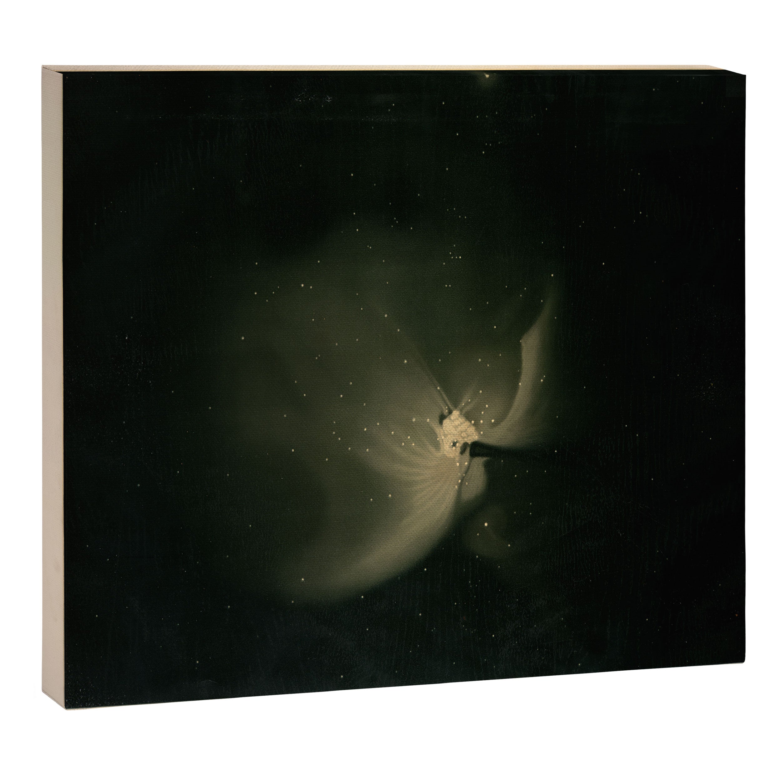 The great nebula in Orion by  Étienne Léopold Trouvelot (1875-1876) Canvas Print Gallery Image 12