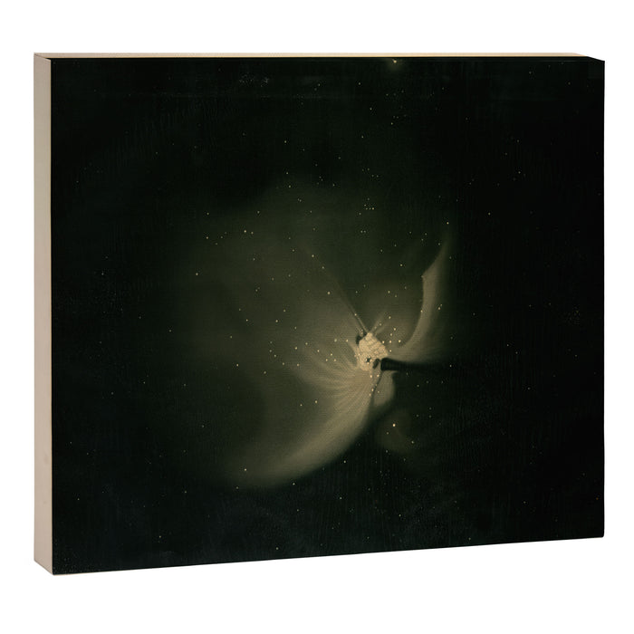 The great nebula in Orion by  Étienne Léopold Trouvelot (1875-1876) Canvas Print Gallery Image 1
