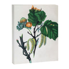 The Hazel, from "The Spirit of the Woods," 1849 (benefiting the Arbor Day Foundation) Canvas Print Gallery Image 6