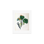 The Hazel, from "The Spirit of the Woods," 1849 (benefiting the Arbor Day Foundation) Art Print Gallery Image 1