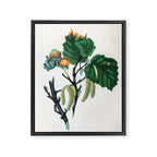 The Hazel, from "The Spirit of the Woods," 1849 (benefiting the Arbor Day Foundation) Framed Canvas Print Gallery Image 6