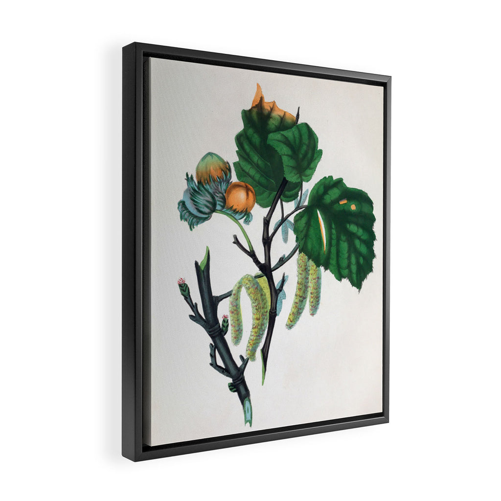 The Hazel, from "The Spirit of the Woods," 1849 (benefiting the Arbor Day Foundation) Framed Canvas Print Gallery Image 2