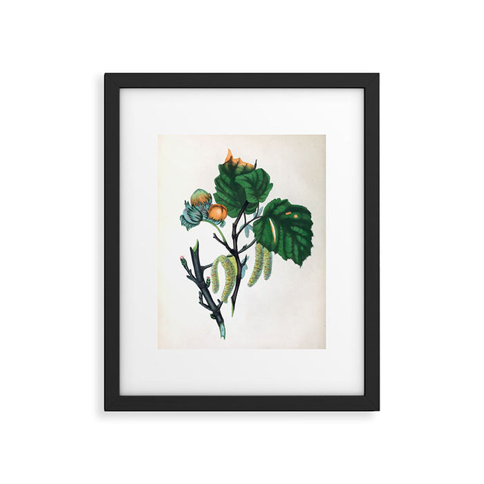 The Hazel, from "The Spirit of the Woods," 1849 (benefiting the Arbor Day Foundation) Framed Art Print Gallery Image 1