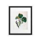 The Hazel, from "The Spirit of the Woods," 1849 (benefiting the Arbor Day Foundation) Framed Art Print Gallery Image 5