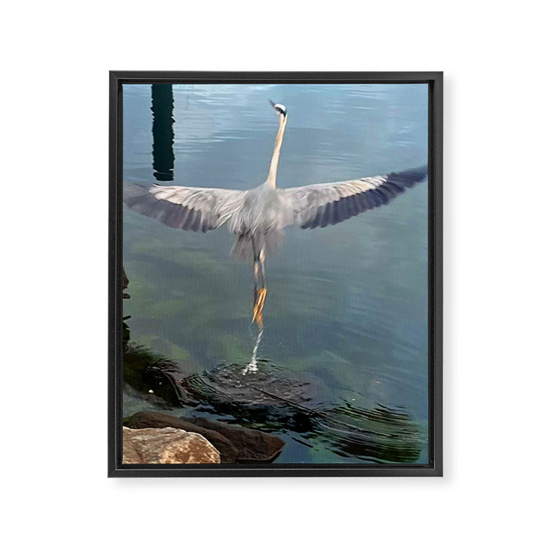 The Mystic (Great Blue Heron) Framed Canvas Print Gallery Image 8