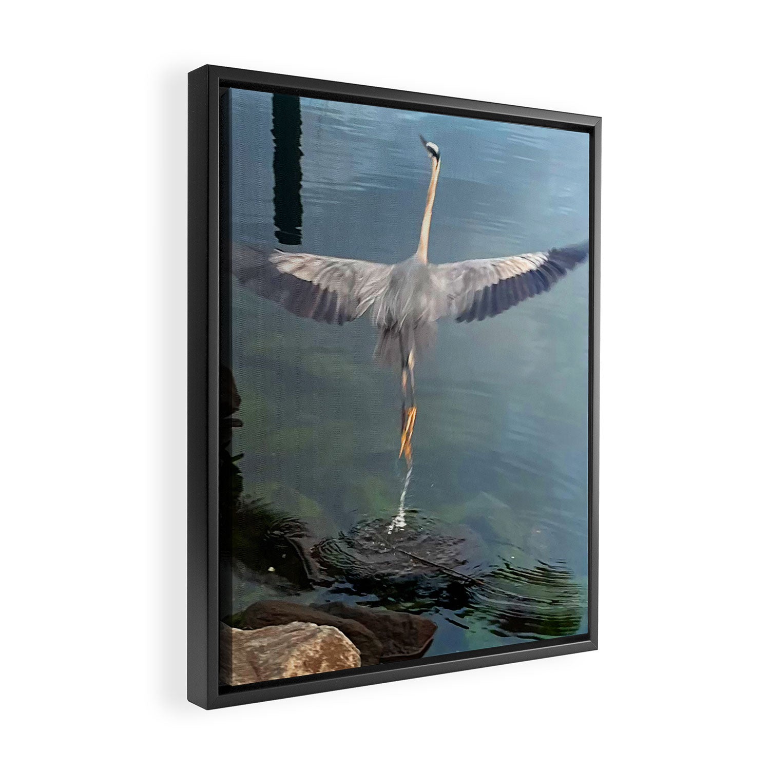 The Mystic (Great Blue Heron) Framed Canvas Print Gallery Image 2