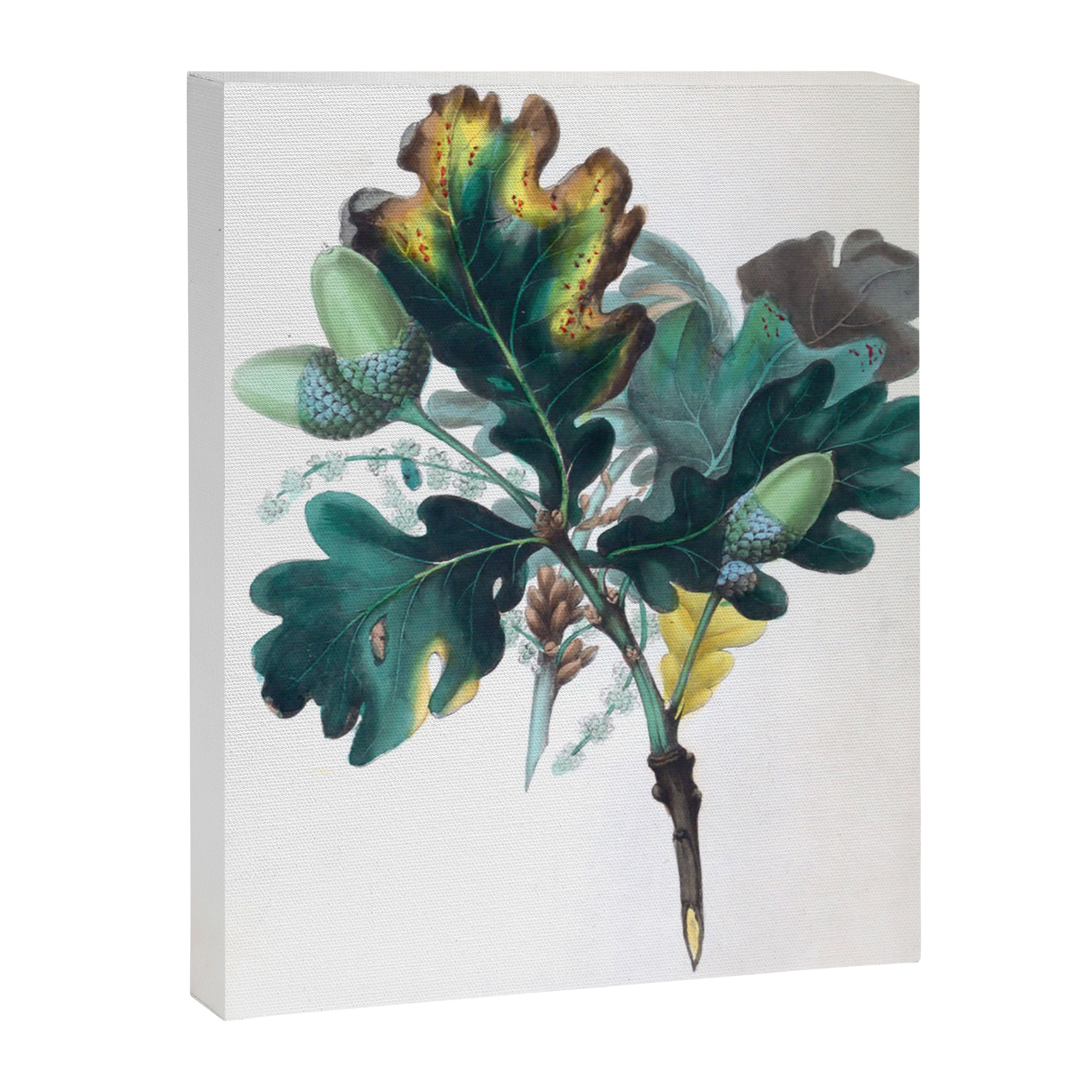 The Oak, from "The Spirit of the Woods," 1849 (benefiting the Arbor Day Foundation) Canvas Print Gallery Image 6