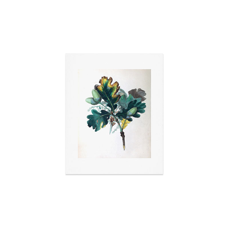 The Oak, from "The Spirit of the Woods," 1849 (benefiting the Arbor Day Foundation) Art Print Gallery Image 1