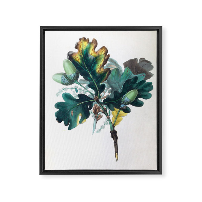 The Oak, from "The Spirit of the Woods," 1849 (benefiting the Arbor Day Foundation) Framed Canvas Print Gallery Image 1
