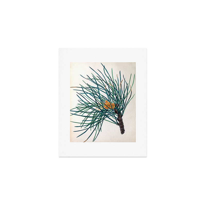 The Stone Pine, from "The Spirit of the Woods," 1849 (benefiting the Arbor Day Foundation) Art Print Gallery Image 1