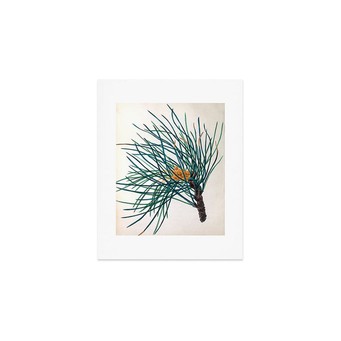 The Stone Pine, from "The Spirit of the Woods," 1849 (benefiting the Arbor Day Foundation) Art Print Gallery Image 1