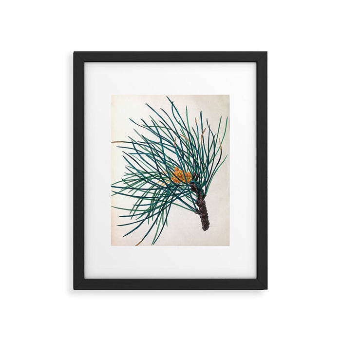The Stone Pine, from "The Spirit of the Woods," 1849 (benefiting the Arbor Day Foundation) Framed Art Print Gallery Image 1