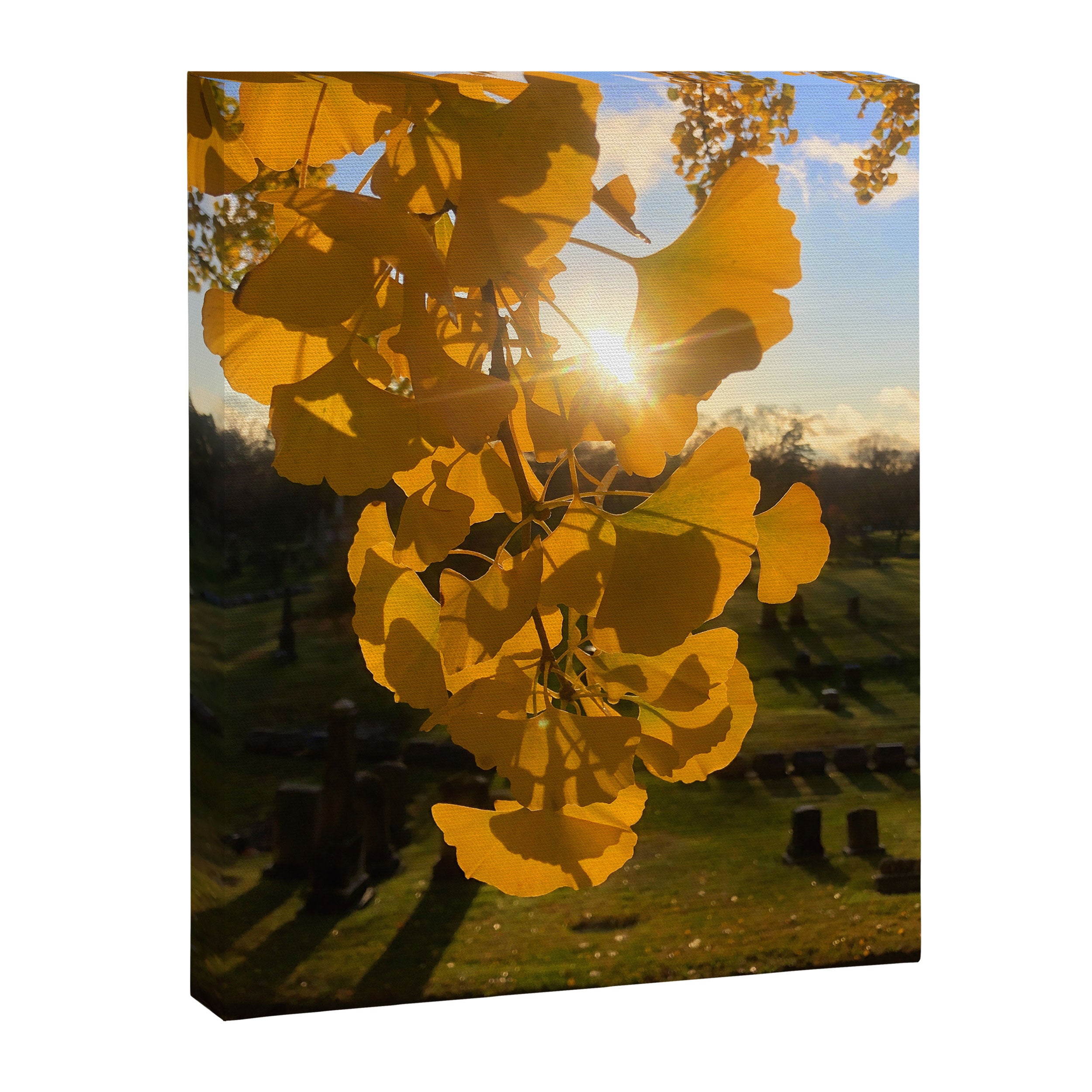 The Triumph of Life Canvas Print Gallery Image 6