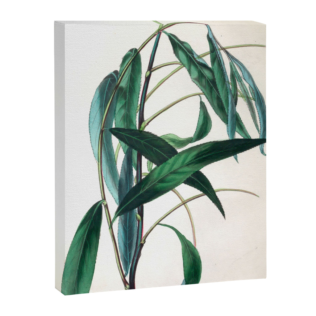 The Weeping Willow, from "The Spirit of the Woods," 1849 (benefiting the Arbor Day Foundation) Canvas Print Gallery Image 6