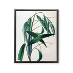The Weeping Willow, from "The Spirit of the Woods," 1849 (benefiting the Arbor Day Foundation) Framed Canvas Print Gallery Image 6