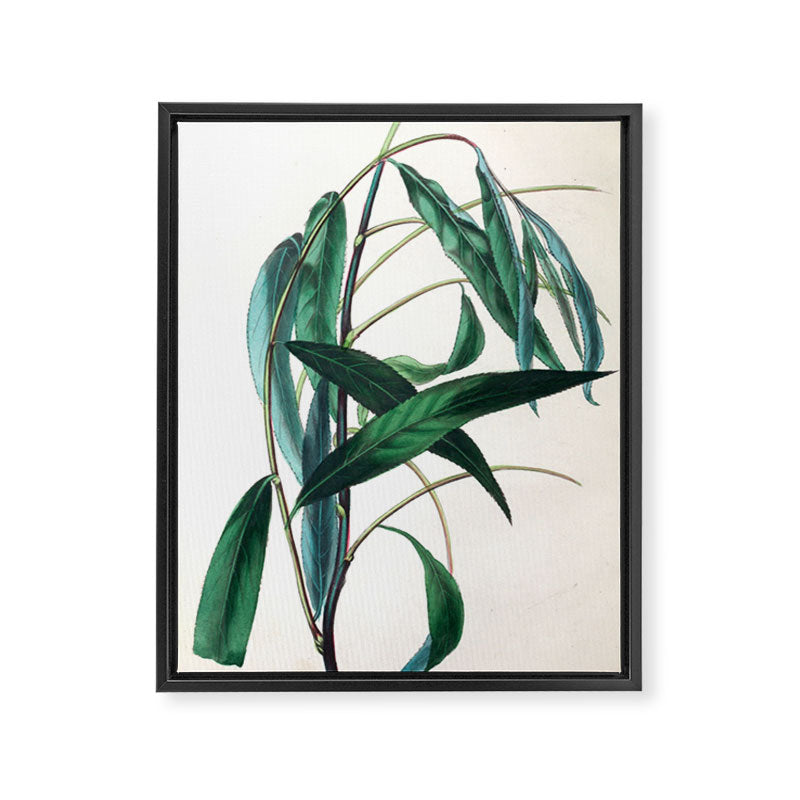 The Weeping Willow, from "The Spirit of the Woods," 1849 (benefiting the Arbor Day Foundation) Framed Canvas Print Gallery Image 6