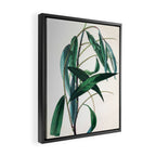 The Weeping Willow, from "The Spirit of the Woods," 1849 (benefiting the Arbor Day Foundation) Framed Canvas Print Gallery Image 2