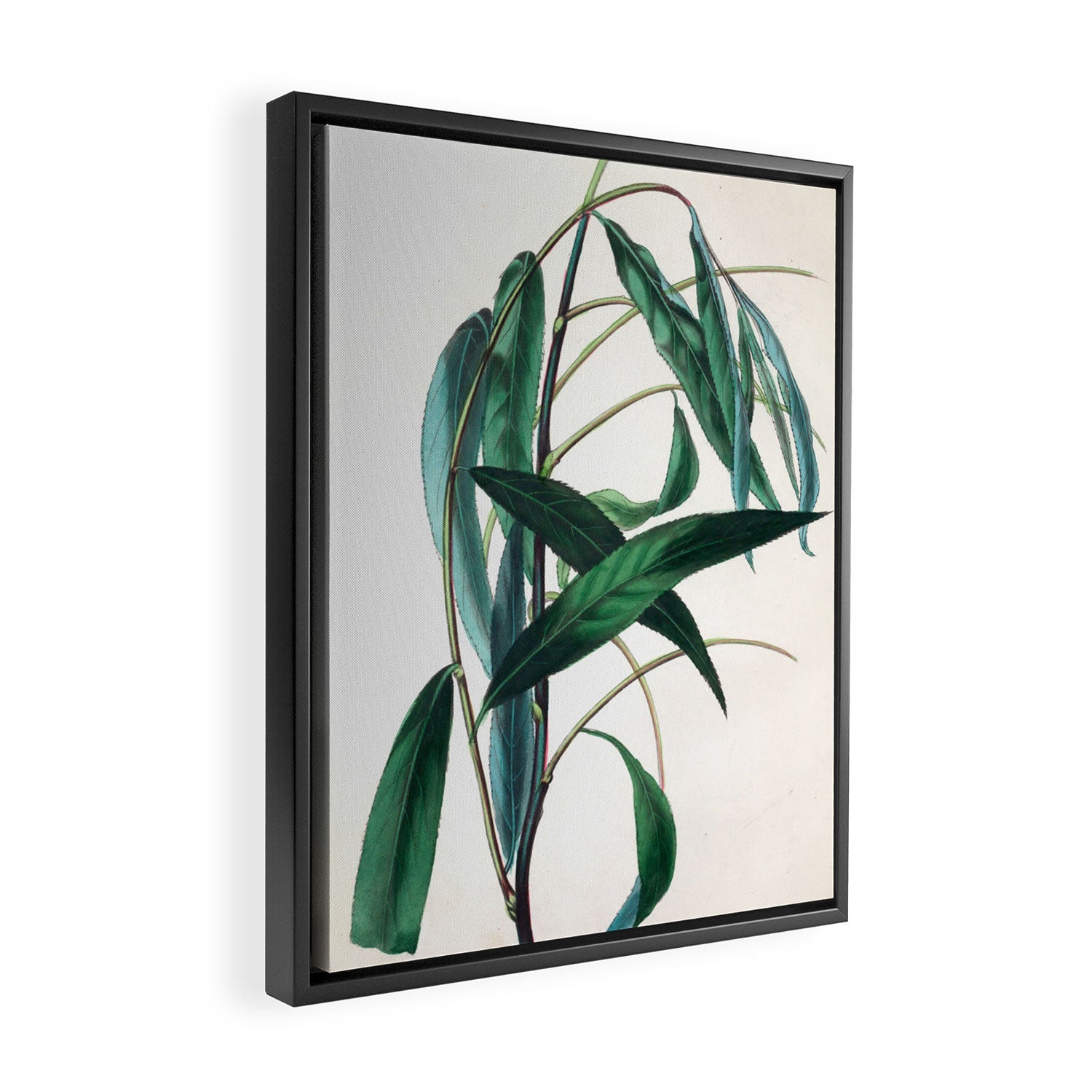 The Weeping Willow, from "The Spirit of the Woods," 1849 (benefiting the Arbor Day Foundation) Framed Canvas Print Gallery Image 2