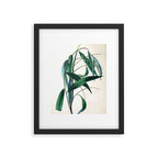 The Weeping Willow, from "The Spirit of the Woods," 1849 (benefiting the Arbor Day Foundation) Framed Art Print Gallery Image 5
