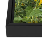 Thoughts of a Flower Framed Canvas Print Gallery Image 3