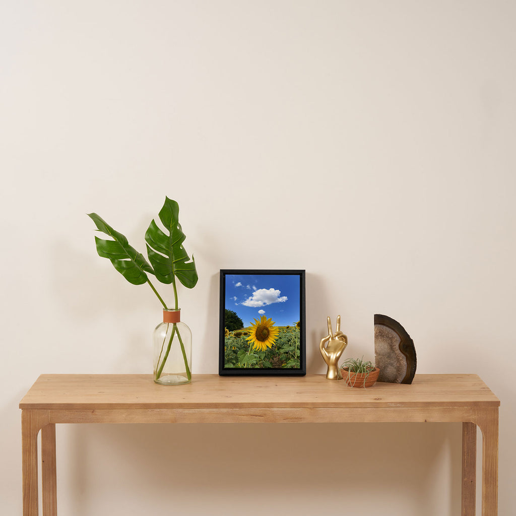 Thoughts of a Flower Framed Canvas Print Gallery Image 4