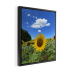 Thoughts of a Flower Framed Canvas Print Gallery Image 2