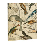 Titmice from The Edinburgh Journal, 1835 (benefitting The Nature Conservancy) Canvas Print Gallery Image 6