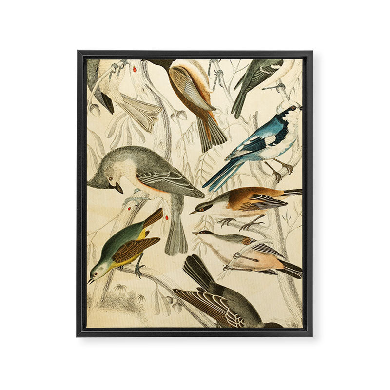 Titmice from The Edinburgh Journal, 1835 (benefitting The Nature Conservancy) Framed Canvas Print Gallery Image 6
