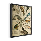 Titmice from The Edinburgh Journal, 1835 (benefitting The Nature Conservancy) Framed Canvas Print Gallery Image 2