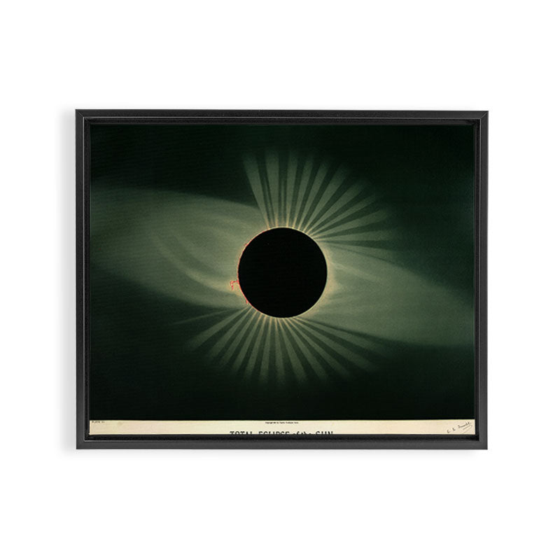 Total solar eclipse by Étienne Léopold Trouvelot (1878) Framed Canvas Print Gallery Image 12
