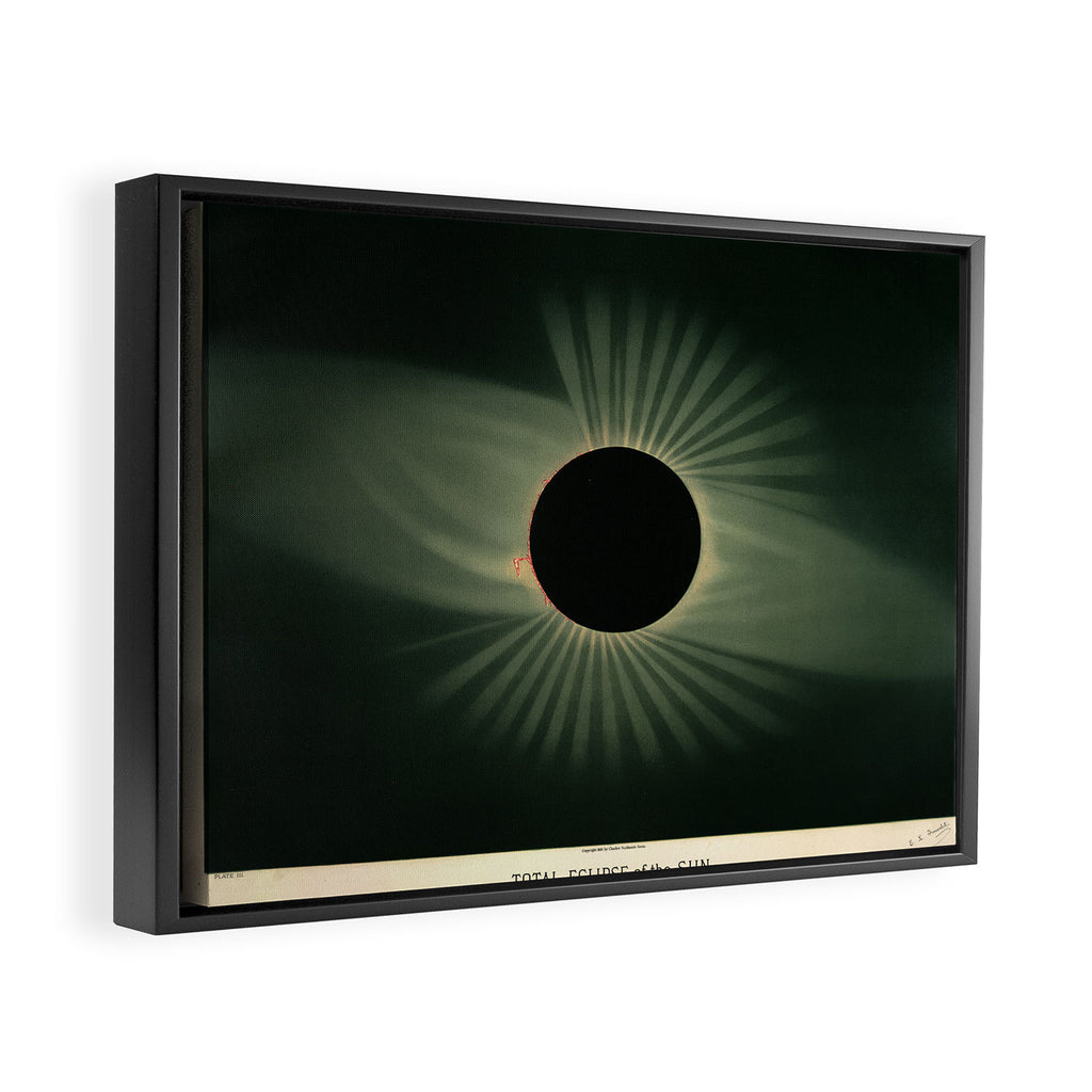 Total solar eclipse by Étienne Léopold Trouvelot (1878) Framed Canvas Print Gallery Image 2