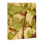 Transformation of Cicada Septemdecim by Lillie Sullivan, 1898 (benefitting The Nature Conservancy) Canvas Print Gallery Image 6
