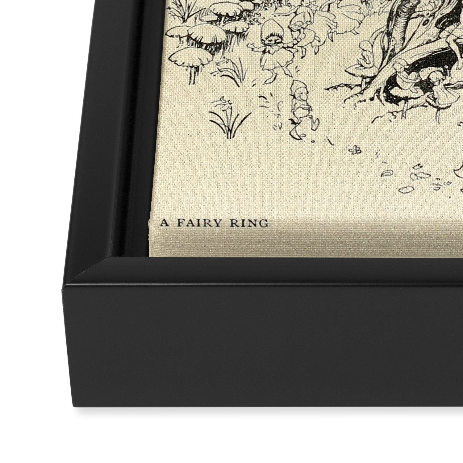 Trees by Arthur Rackham from "PeterPan in Kensington Gardens," 1906 Framed Canvas Print Gallery Image 3