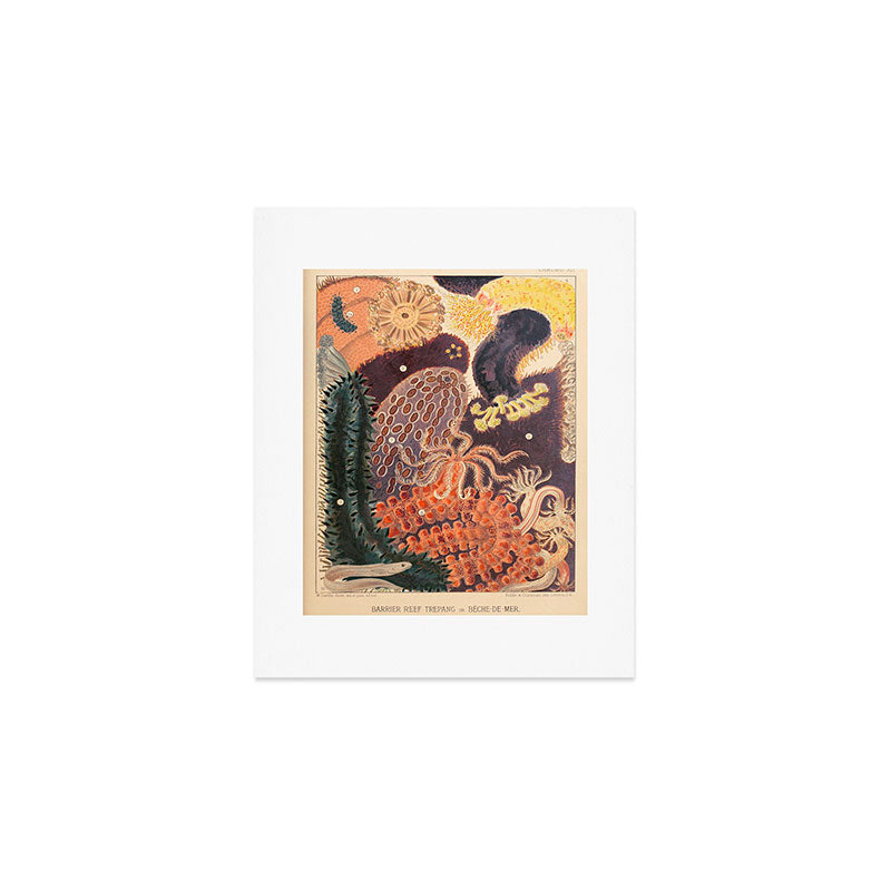 Trepang from âThe Great Barrier Reef of Australiaâ by William Saville Kent, 1893 Art Print Gallery Image 1