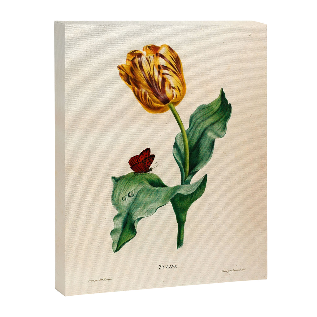 Tulip by Henriette Antoinette Vincent (Madame Vincent), 1820 Canvas Print Gallery Image 6