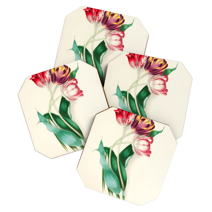 Tulips by Clarissa Munger Badger, "Floral Belles," 1866 (benefitting The Nature Conservancy) Coaster Gallery Image 1