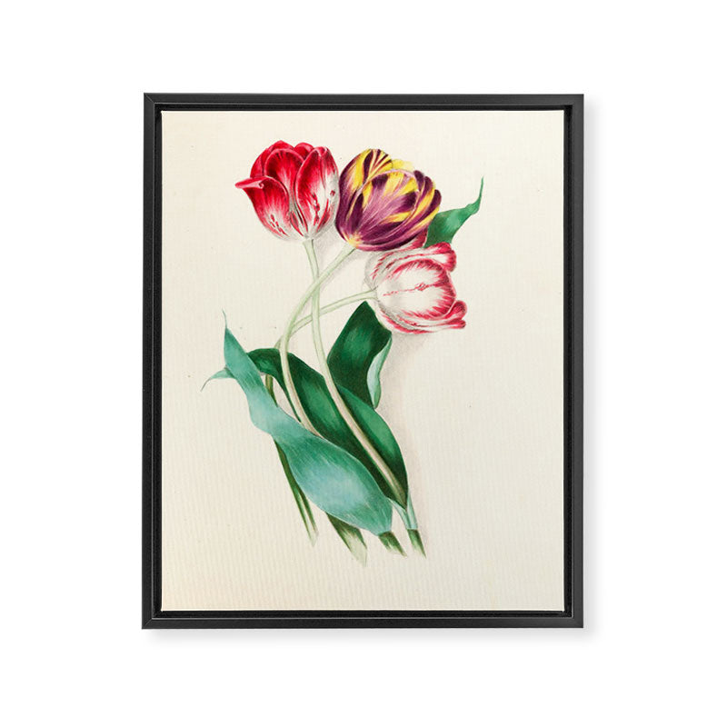 Tulips by Clarissa Munger Badger, "Floral Belles," 1866 (benefitting The Nature Conservancy) Framed Canvas Print Gallery Image 6