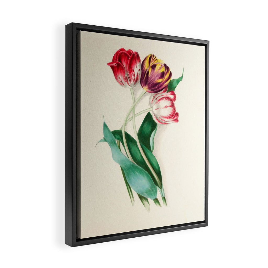 Tulips by Clarissa Munger Badger, "Floral Belles," 1866 (benefitting The Nature Conservancy) Framed Canvas Print Gallery Image 2