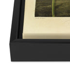 Tulips from "The Temple of Flora," 1812 (benefitting The Nature Conservancy) Framed Canvas Print Gallery Image 3