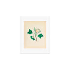 Tulip-tree blossom by Clarissa Munger Badger, 1859 (benefitting The Nature Conservancy) Art Print Gallery Image 1