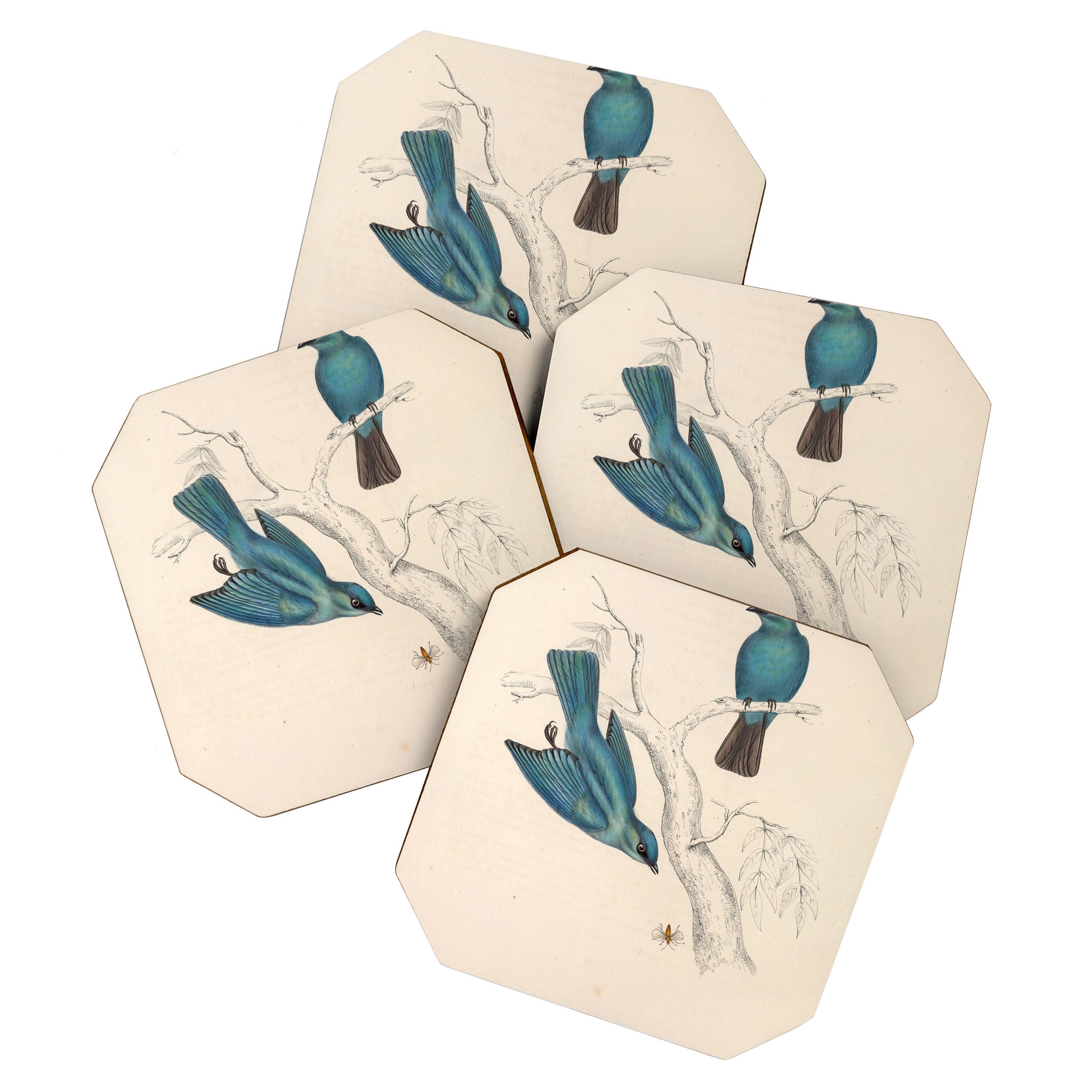 Verditer flycatcher by Elizabeth Gould from "A Century of Birds from the Himalaya Mountains," 1831 Coaster Gallery Image 1