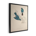 Verditer flycatcher by Elizabeth Gould from "A Century of Birds from the Himalaya Mountains," 1831 Framed Canvas Print Gallery Image 2