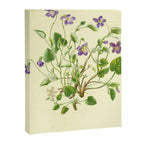 Violet by Anne Pratt, 1800s (benefitting The Nature Conservancy) Canvas Print Gallery Image 6