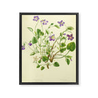 Violet by Anne Pratt, 1800s (benefitting The Nature Conservancy) Framed Canvas Print Gallery Image 6
