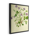 Violet by Anne Pratt, 1800s (benefitting The Nature Conservancy) Framed Canvas Print Gallery Image 2