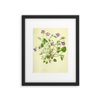 Violet by Anne Pratt, 1800s (benefitting The Nature Conservancy) Framed Art Print Gallery Image 5